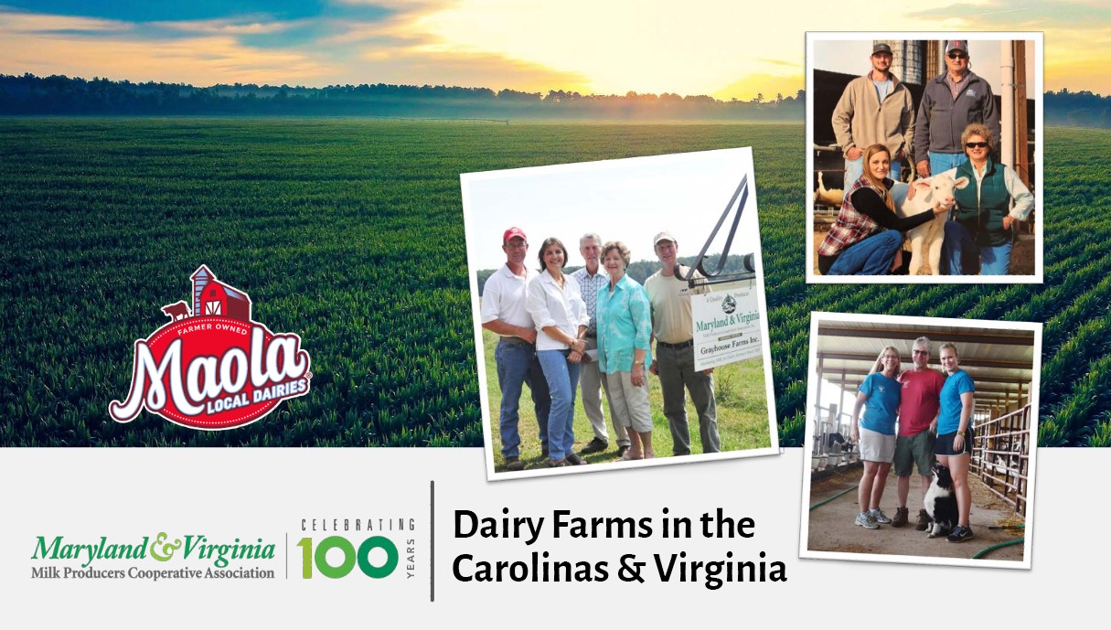 Maolo Local Dairies - Dairy Farm in the Carolinas & Virginia
